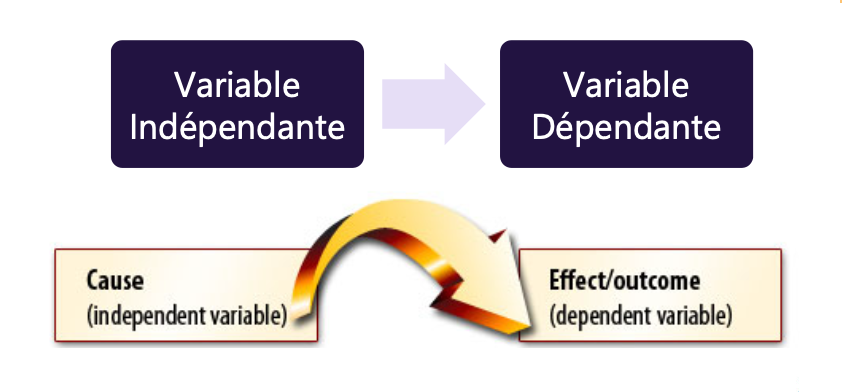 <p>Supposition provisoire proposant un lien entre deux ou plusieurs variables </p><p>→ parce qu’on va la tester <span>⇒ la réponse qu’on trouve peut la confirmer, l’infirmer ou ni l’un ni l’autre </span></p>