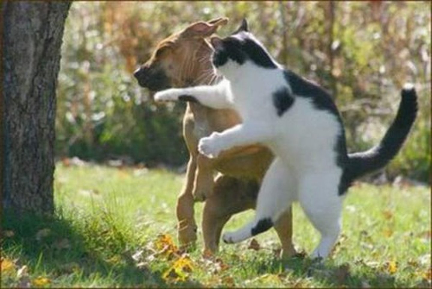 <p>處理；應付</p>