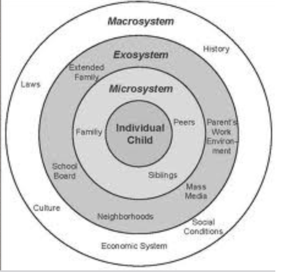 <p>ecological model suggesting that an individual’s development is influenced by a series of interconnected environmental systems, ranging from the immediate surroundings (e.g., family) to broad societal structures (e.g., culture)</p>