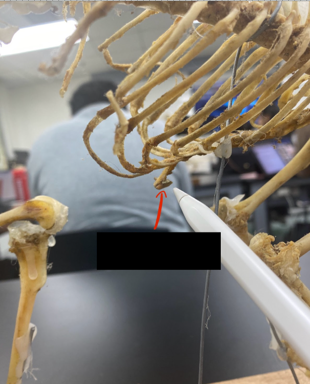<p>What part is this&nbsp;</p>