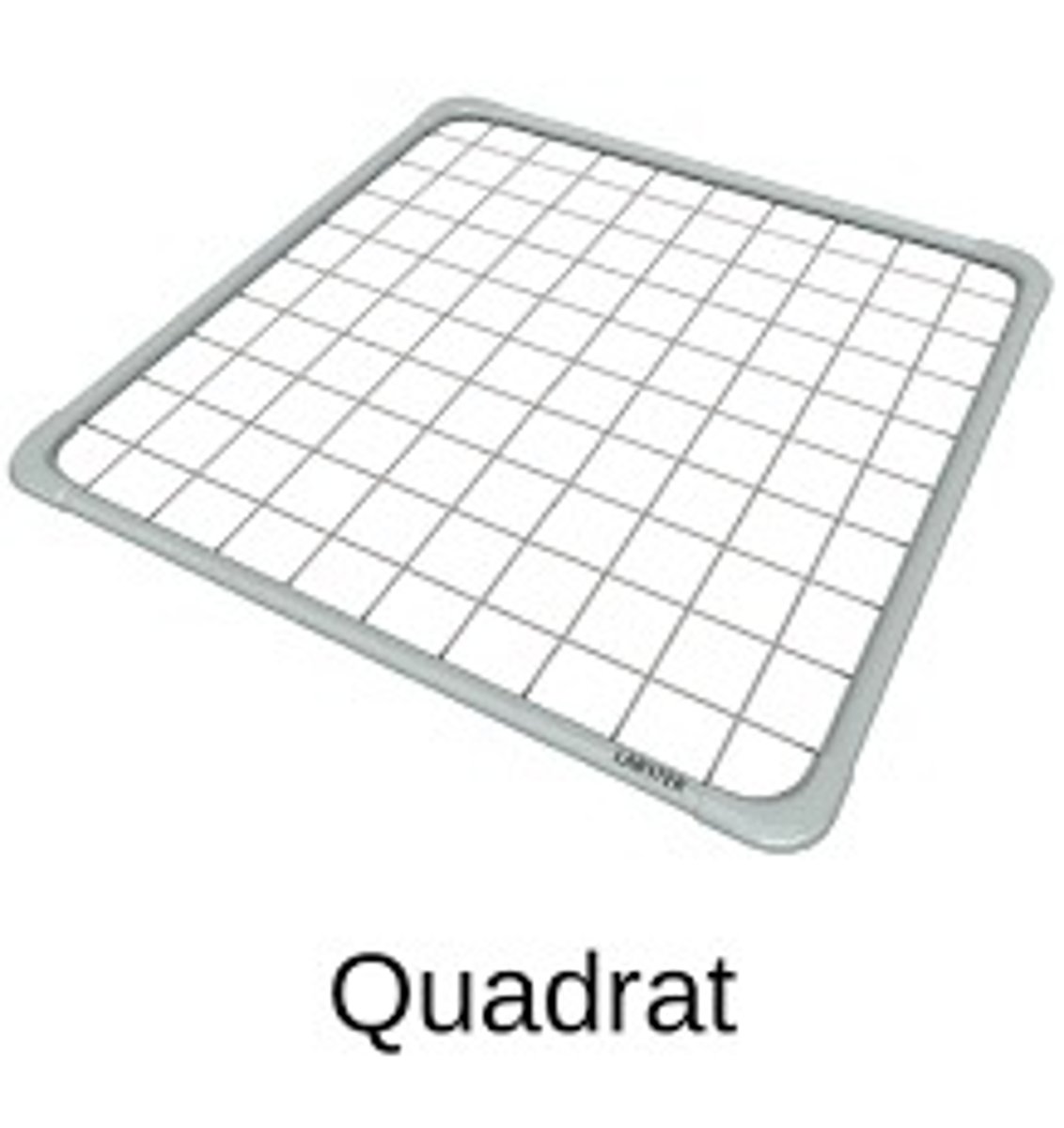 <p>Used to calculate the percentage cover or the number of individuals of each species (quantitative)</p>
