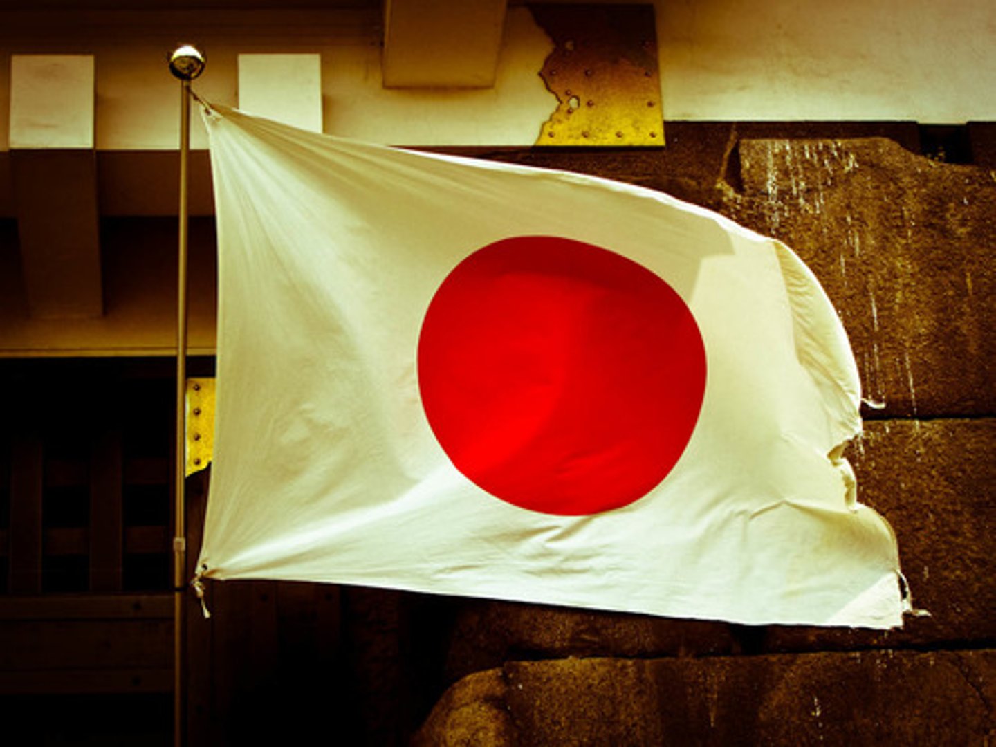 <p>Japan</p>
