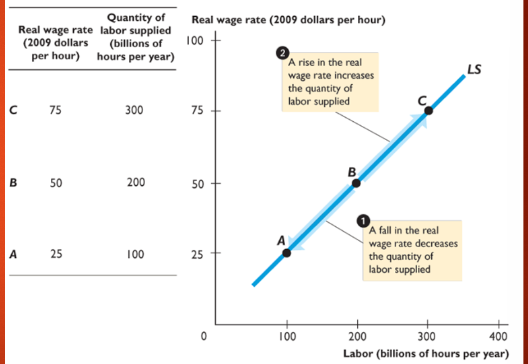 <p>quantity of labor supplied compared to real wage rate</p>