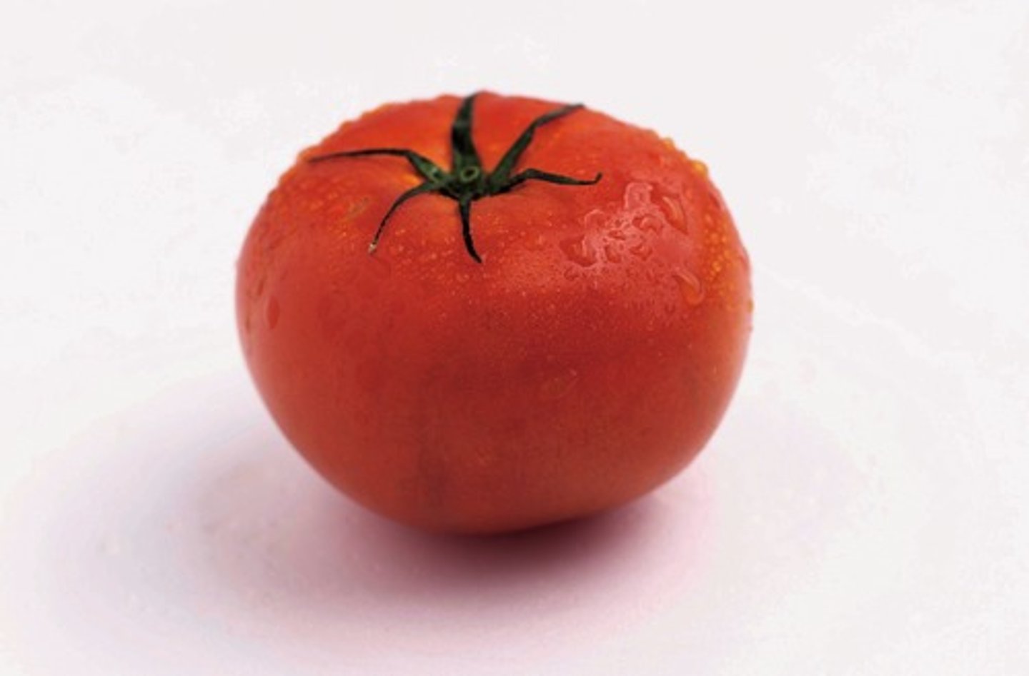 <p>xī hóng shì - tomato</p>
