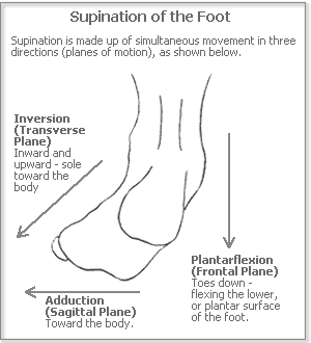 <p>plantar flexion, forefoot ADD, subtalar inversion</p>