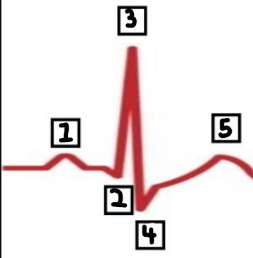 <p>What is number 4?</p>