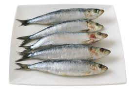 <p>sardina</p>