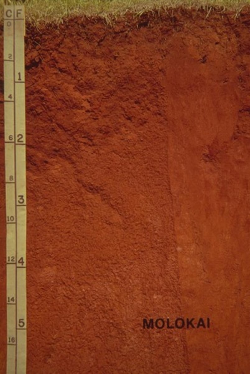 <p>Soil structure formed from repeated wetting and drying.</p>