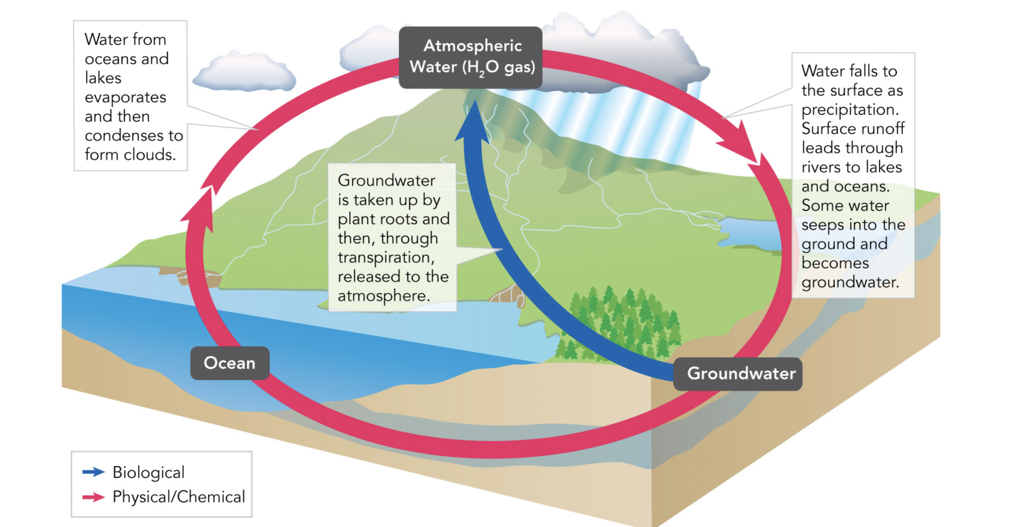 Main processes of the water cycle