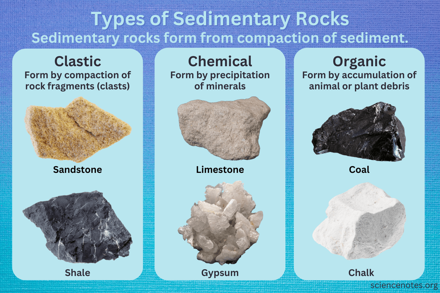 <p>Sedimentary rocks are formed when ________ accumulate and compact together.</p>