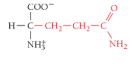 <p>What is the name of the amino acid?</p>