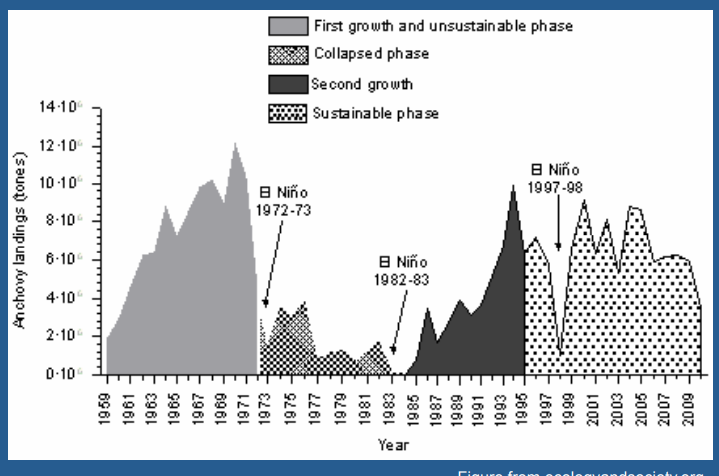 <p>What is happening in this image</p>