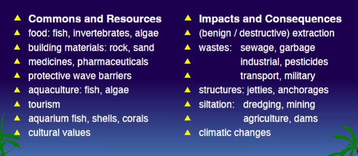 <p>commons and resources</p><p>impacts and consequences</p>