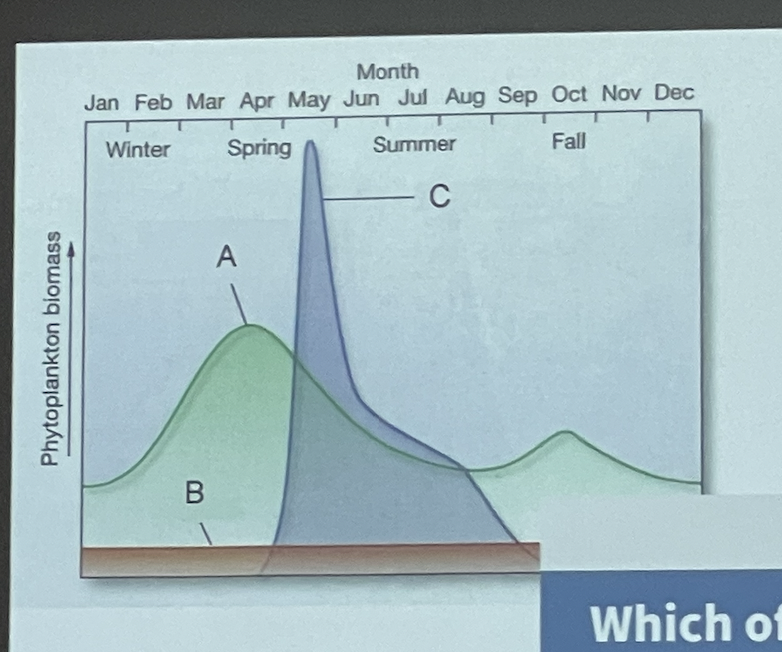 Which of these annual phytoplankton cycles represents the tropical ocean?