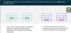 <p><span>A </span><strong>coalesced field</strong><span> will act as a unique key during data imports which will update over existing data as opposed to creating new records.</span></p>