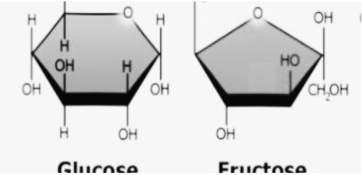 <p>Determine the type of isomerism:</p><p></p>