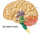 <p>Identify red region</p>
