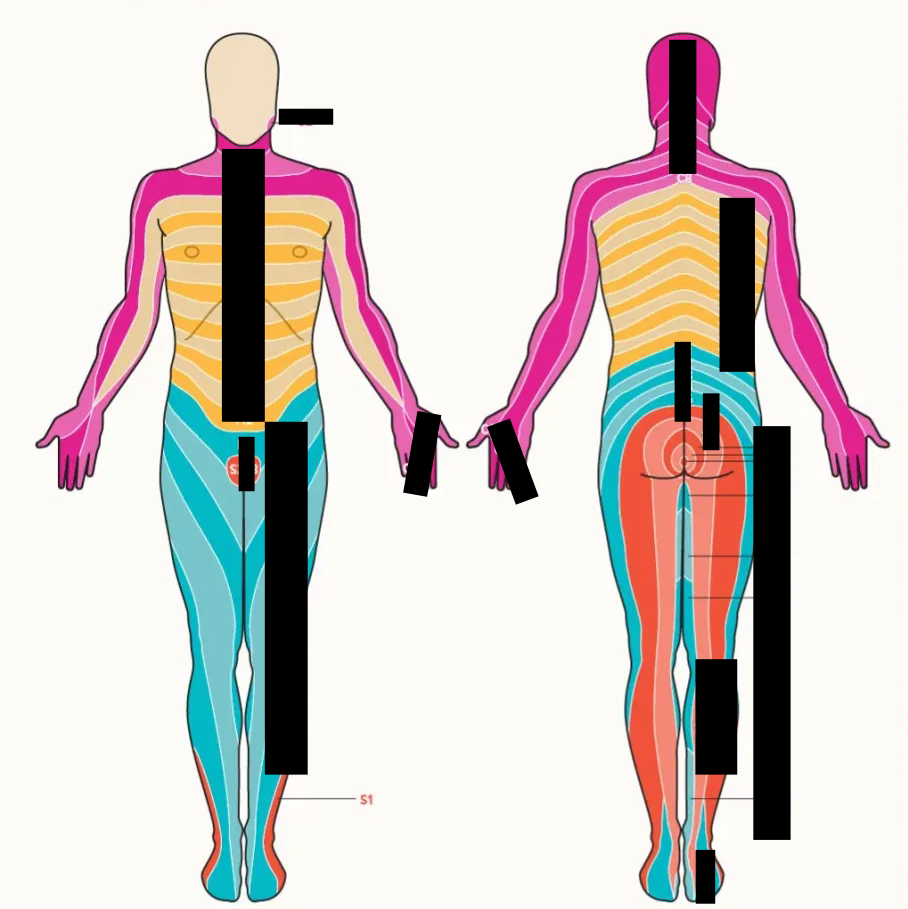 <p>identify pink </p>