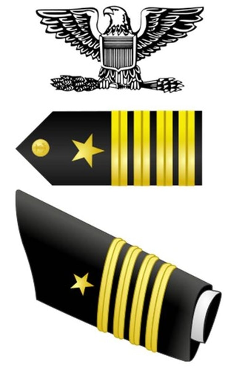 <p>O-6 Silver Eagle (Navy)</p>