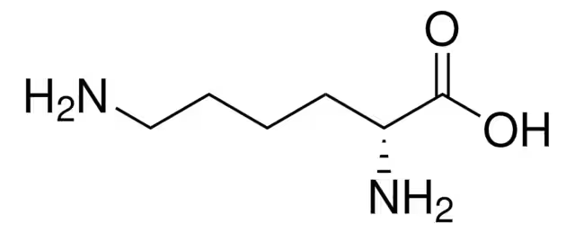 <p>Lys, K<br>polar, positive side chain</p>