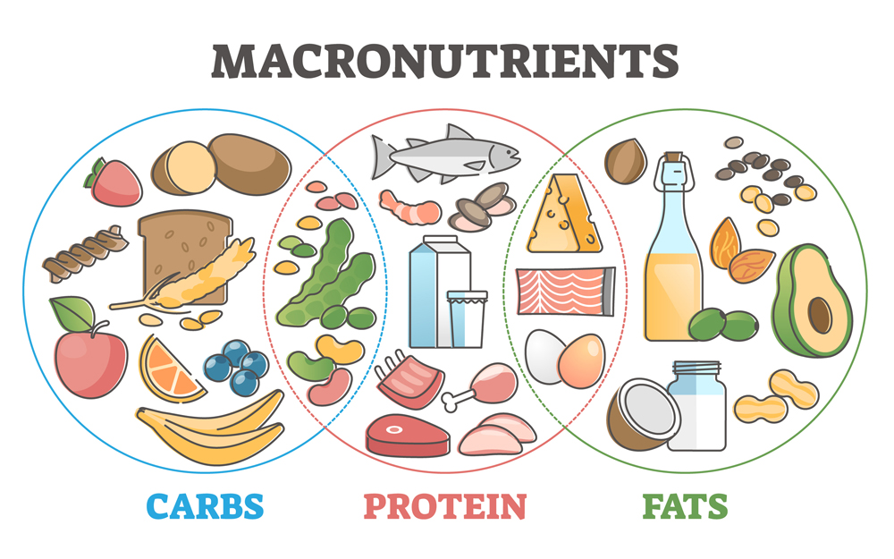 <p><span><span>What are macronutrients?</span></span></p>