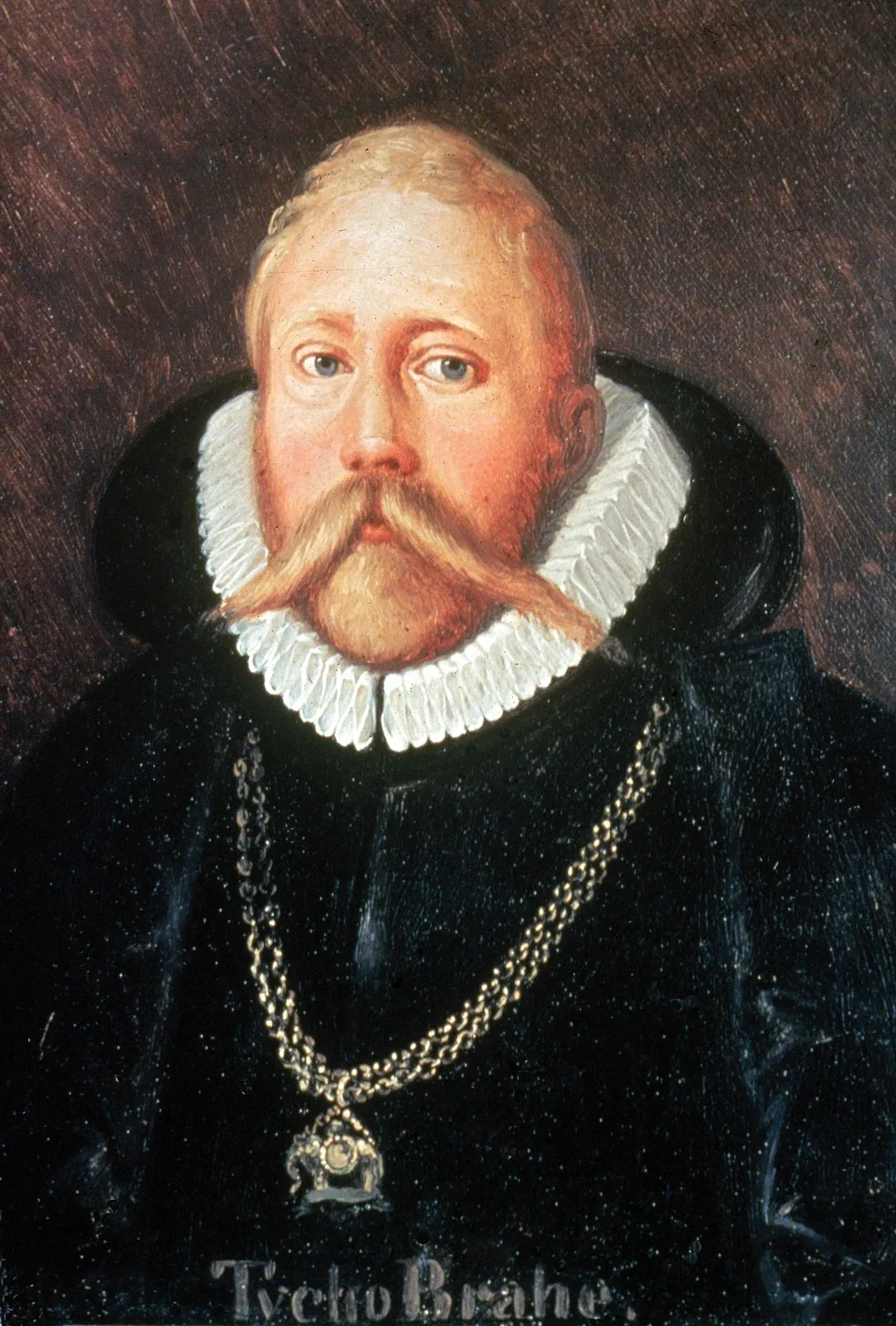 <p>Tycho Brahe</p>