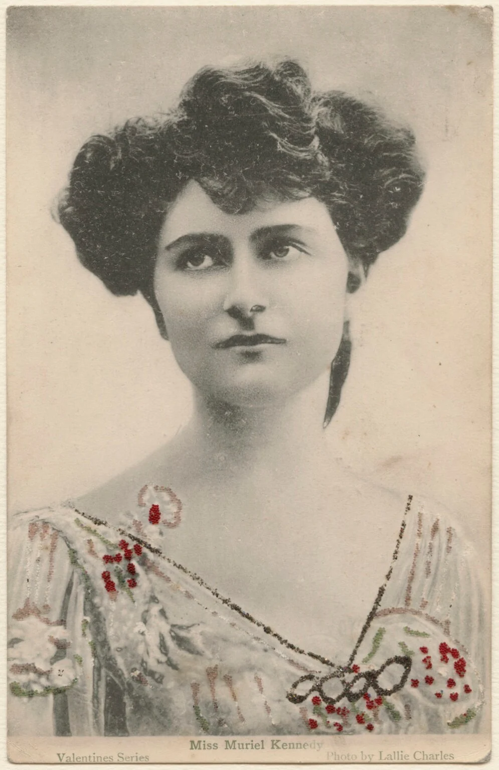 <p>Embellishment</p>