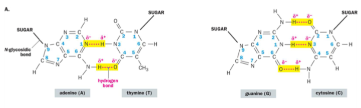 <p>2; 3</p>