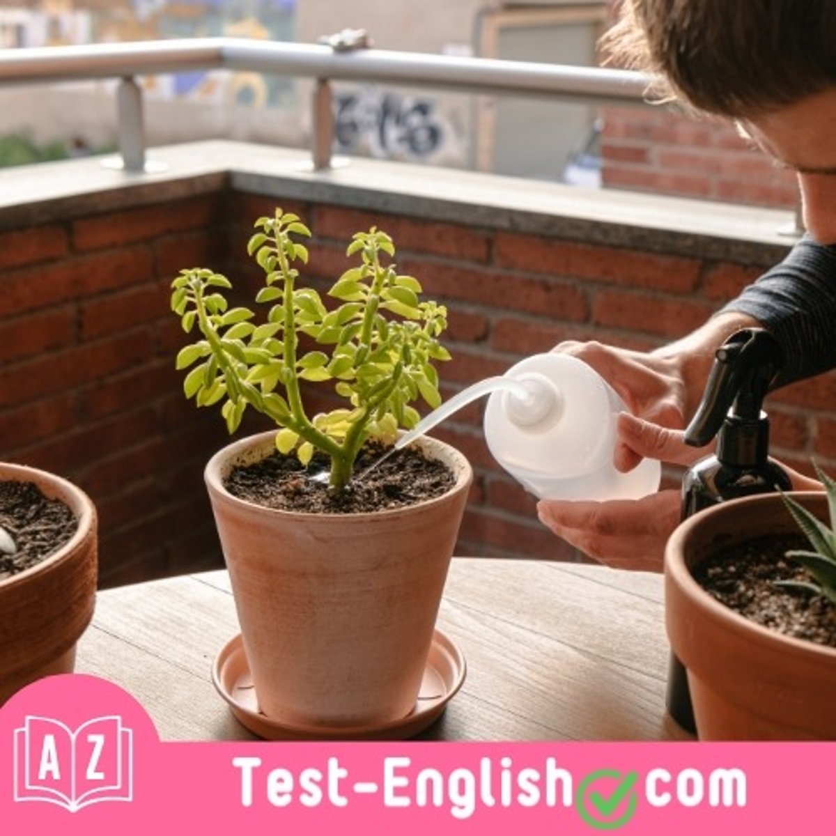 <p>I _____ the plants in the garden three times a week.</p>
