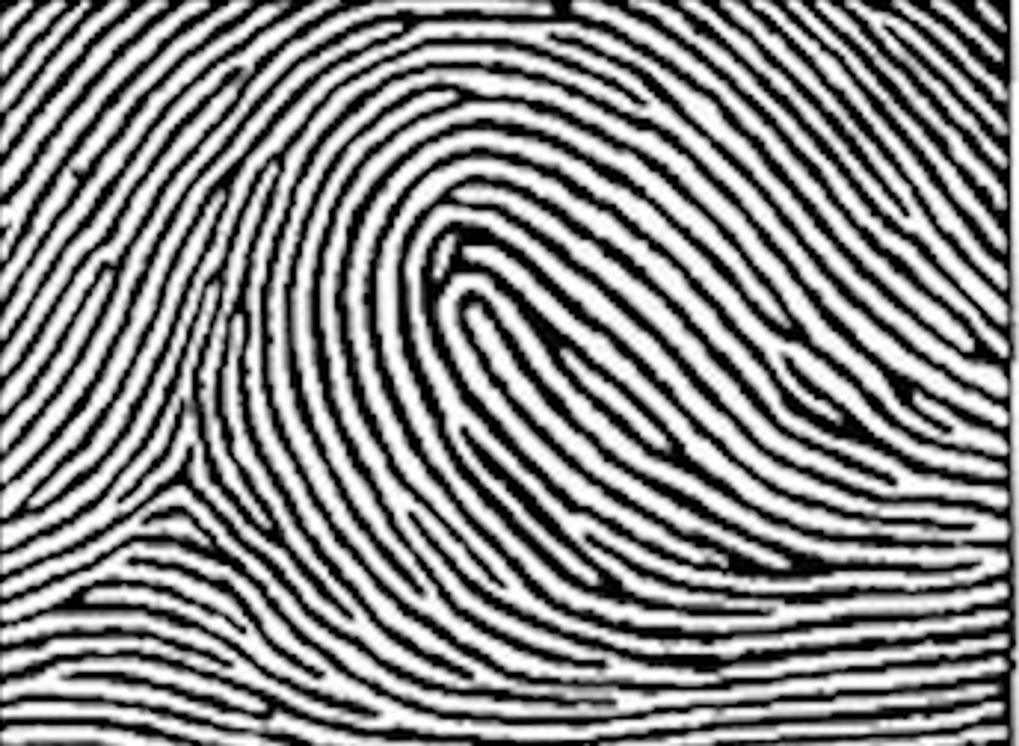 <p>-Consists of one or more ridges which enter and exit from the same side of the print </p><p>-Must contain 1 delta and 1 core</p>