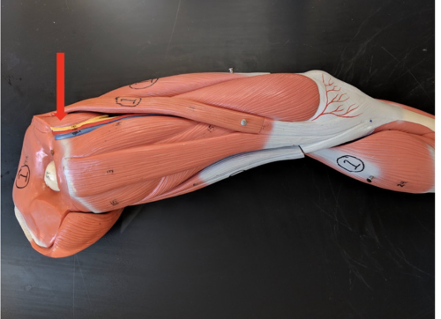 <p>what is this?</p>