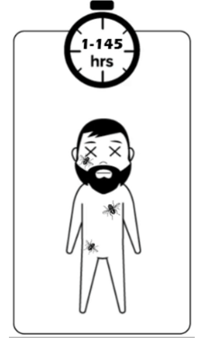<p><span>Insect activity can also provide clues about how long a person has been dead. The presence of eggs, larva, or full-grown bugs provide a timestamp for how long the body has been decaying.</span></p>
