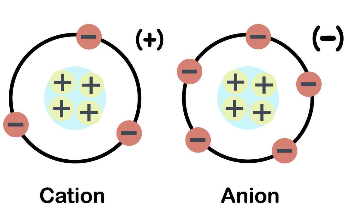 <ol><li><p>Cation</p></li><li><p class="has-focus">Anion</p></li></ol><p></p>