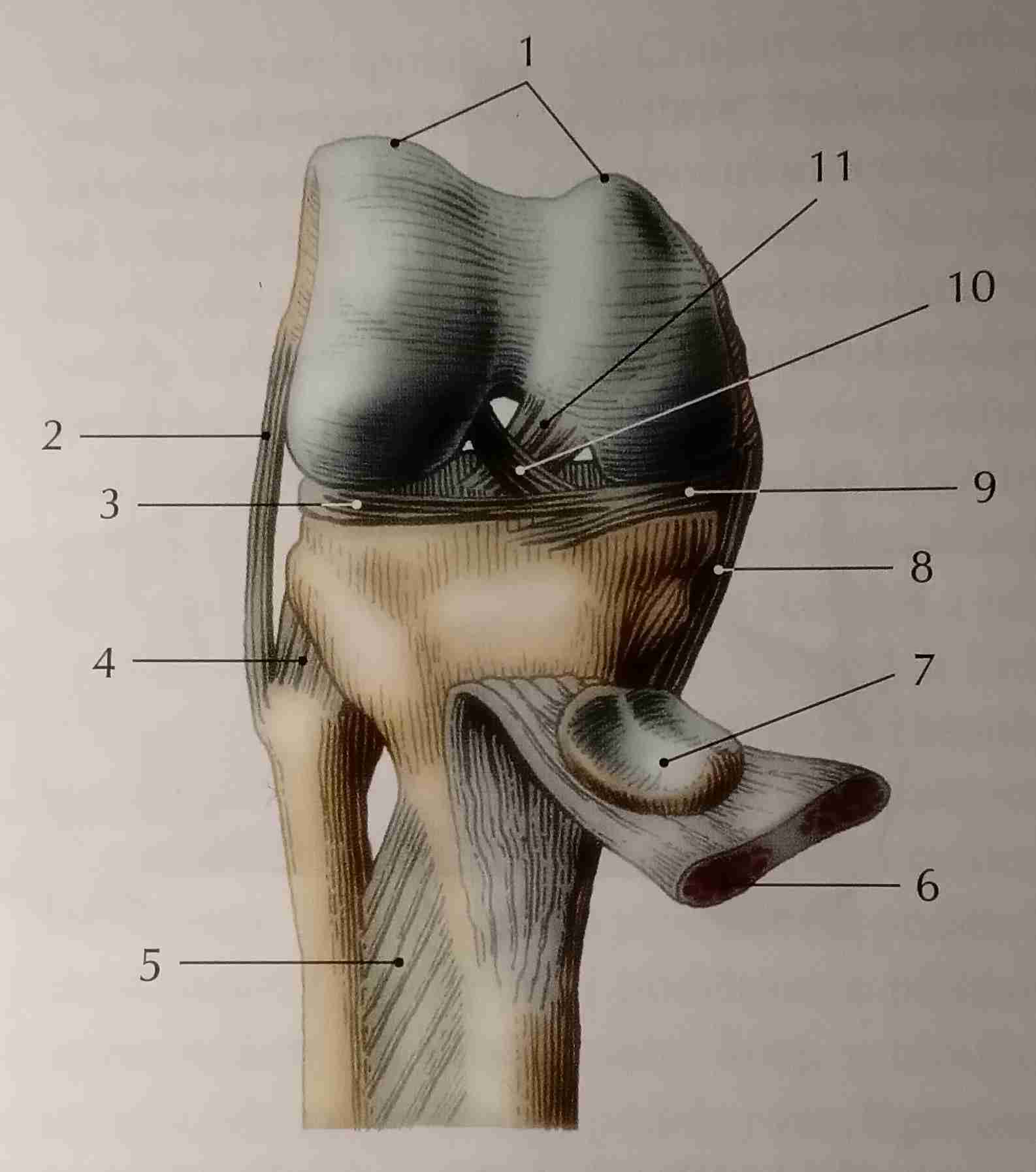 <p>5</p>