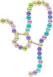 <p>when the polypeptide reshapes so that the r-groups interact with each other</p>