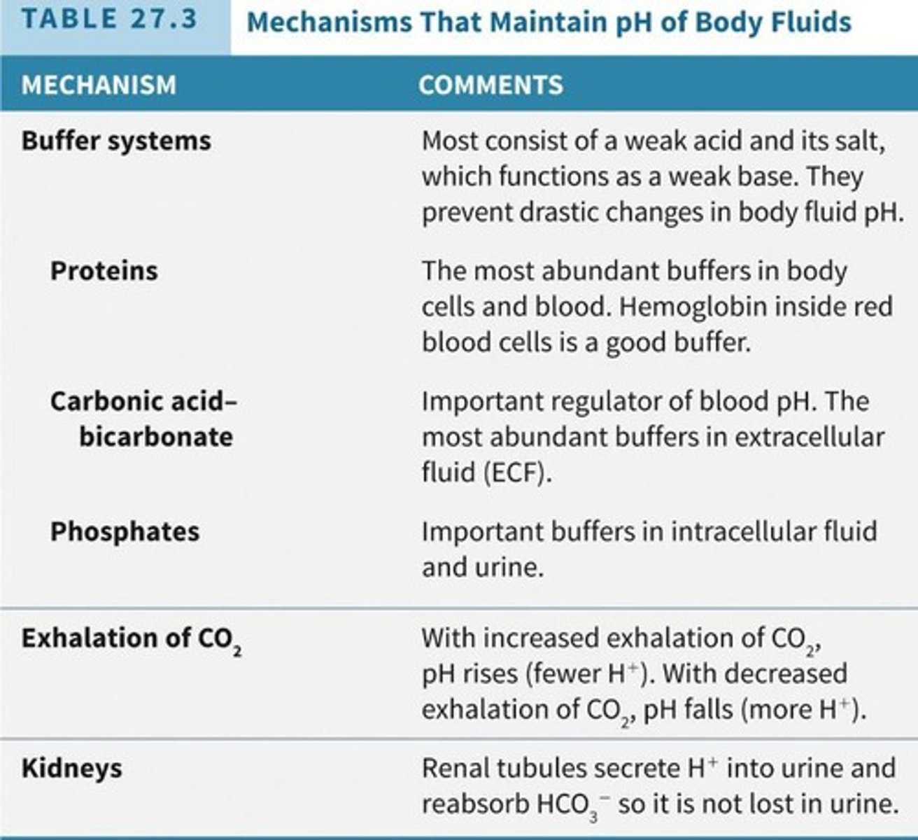 <p>Buffer systems, exhalation of carbon dioxide, and kidney excretion of H+.</p>