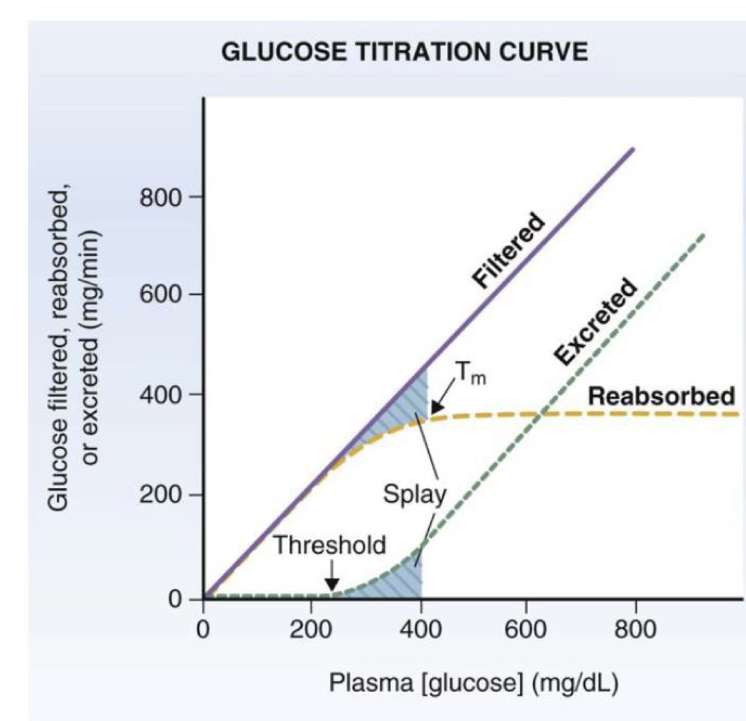 <p>describe threshold on the glucose titration curve </p>