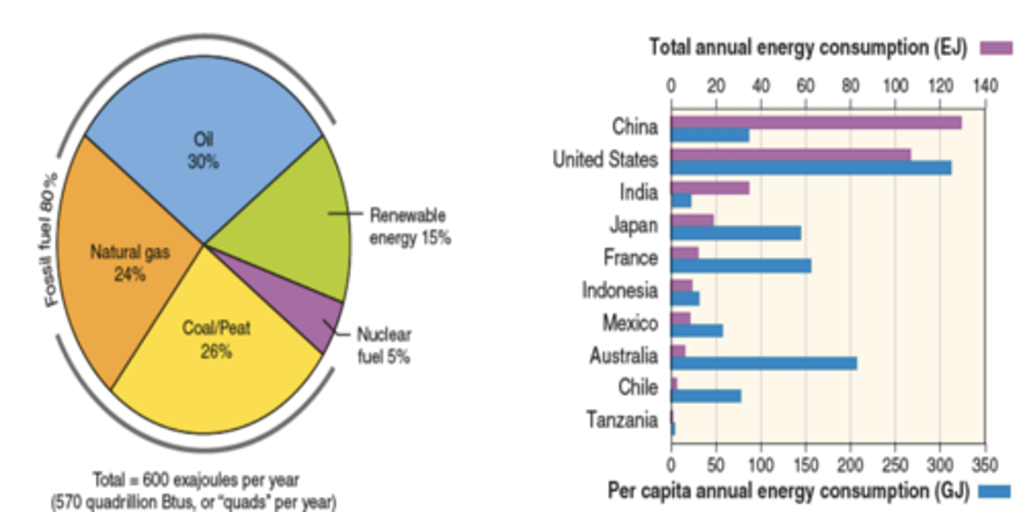 <p>-Globally, 80% of energy is produced by oil, coal, and natural gas.</p><p>-The developed nations of the world use more than 40% of the world's energy, even though they only comprise of 20% of the population.</p>