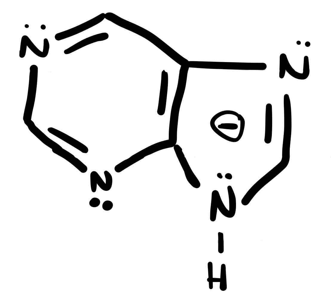 <p>Pyrmidine + imidazole </p>