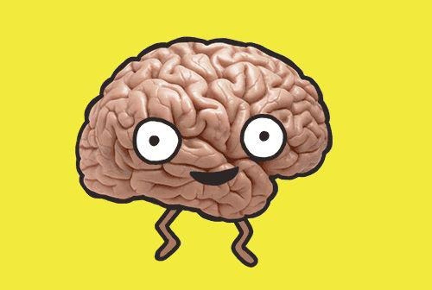 <p>To control physiological and psychological processes</p>