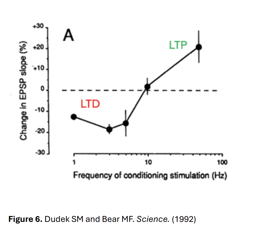 <ul><li><p>Baseline 0.1 Hz</p></li></ul><p></p>