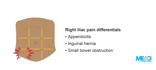 <p>contains the appendix</p>