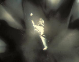 <p>What inclusion is this?</p>