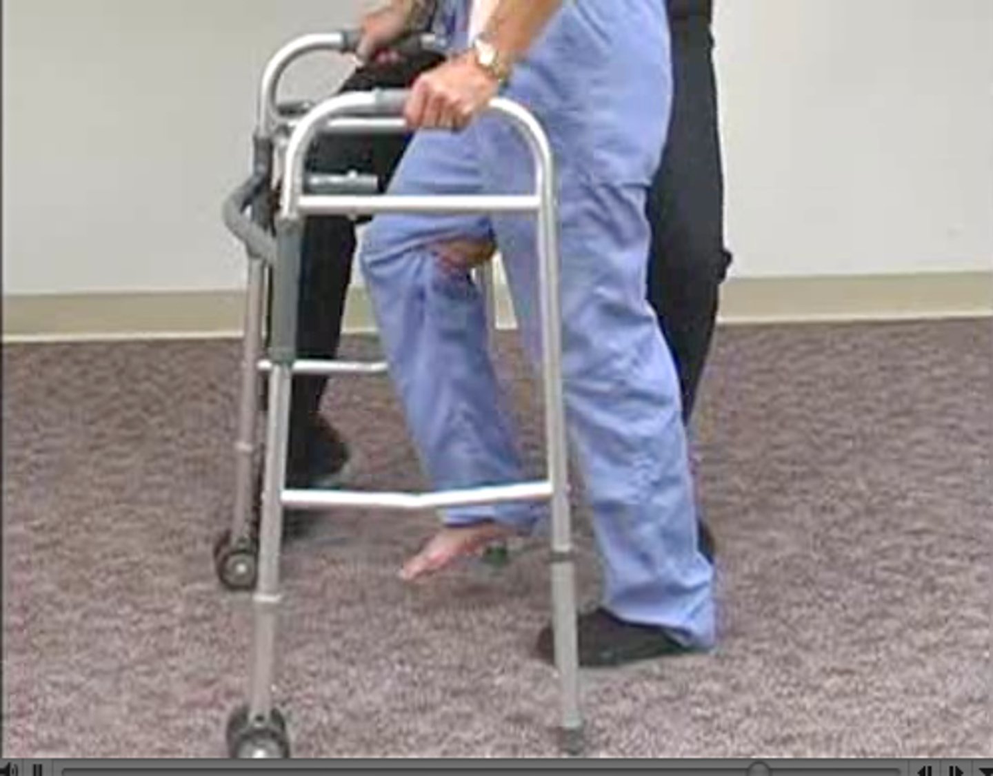 <p>Ancestral mammalian locomotion; walking on limbs in contact with ground.</p>