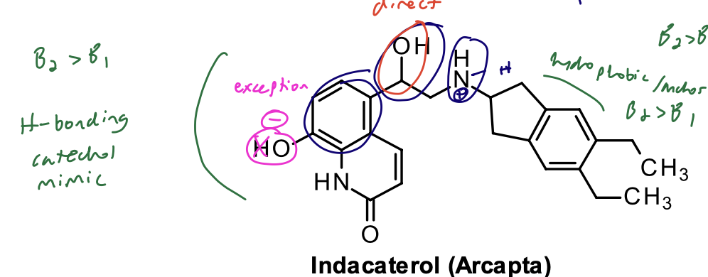 <p><strong>Phenol has a pKa of 6.7 and is ionized at physiologic pH. Forms zwitterion with the basic amino group.</strong></p><p class="p1"></p><p class="p1"><strong>Zwitterionic form binds to the <span>B2 </span>receptor with very high affinity, <u>contributes to long duration</u>. Its onset of action is similar to salmeterol</strong></p>
