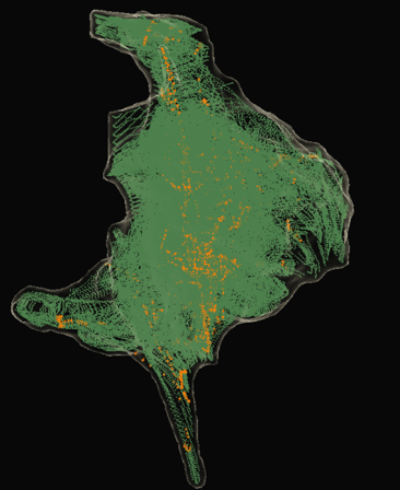 <ol><li><p>Impedance data points (GREEN) - we can visualize structures due to local changes in thoracic impedance. See electrodes in impedance field</p><ol><li><p>*Orange points are SE points (magnetic data from magnetic sensor)</p></li></ol></li><li><p>Magnetic data points (BLUE)</p></li></ol><p></p>
