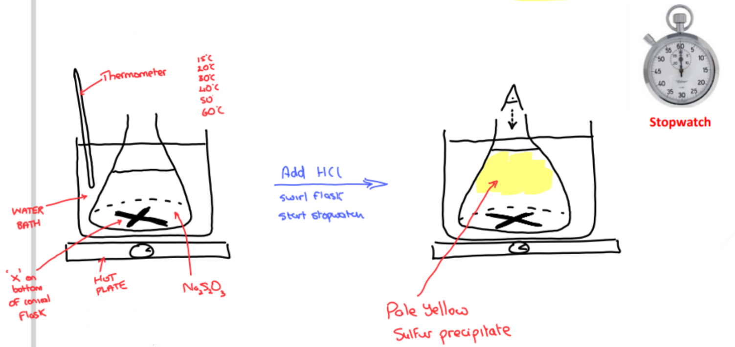 <p>➢ <strong>Using a graduated cylinder</strong>, <strong>add</strong> a fixed volume of 0.5 M <strong>sodium thiosulfate</strong> is <strong>added to a conical flask</strong></p><p>➢ The conical <strong>flask has a cross (‘X’) drawn on the bottom</strong> with a marker</p><p>➢ The conical flask is <strong>placed in a water bath</strong> on a <strong>hot plate</strong> and using the <strong>thermometer set to a specific temperature</strong></p><p>➢ Using another graduated cylinder, a fixed volume of <strong>dilute hydrochloric acid is quickly added</strong> to the sodium thiosulfate solution in the conical flask</p><p>➢ The conical <strong>flask is swirled</strong>, and the <strong>stopwatch is immediately started</strong></p><p>➢ While <strong>looking down through the solution</strong>, the <strong>time</strong> for it takes for the <strong>yellow sulfur precipitate to obscure the cross is recorded</strong></p><p>➢ Using a <strong>hot plate, water bath and thermometer</strong>, the experiment is <strong>repeated five times at DIFFERENT TEMPERATURES </strong></p><p>➢ The results are entered in a table and a <strong>graph of rate (1/time) Vs temperature</strong> is plotted</p>