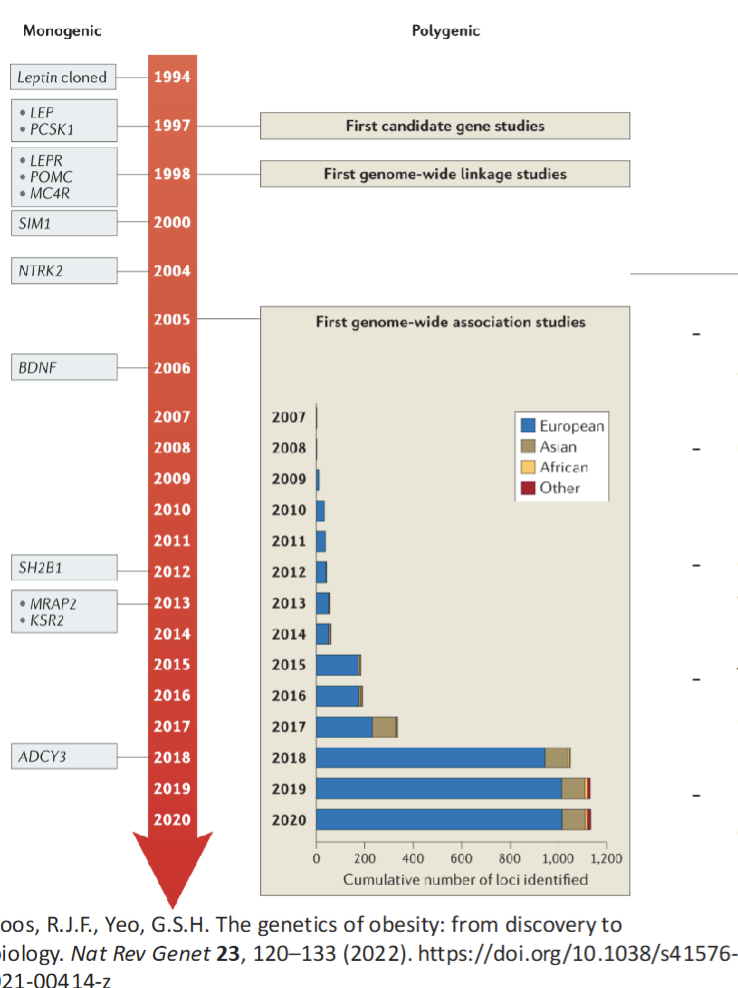 <p>Caused by additive effect of hundreds/thousands of common genetic variants</p><p>GWAS have identified more than 1100 independent loci associated with a range of obesity traits(3-5%)</p><p></p>