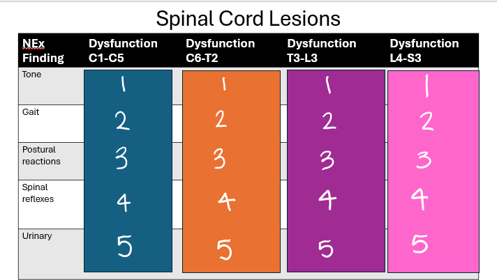 <p>Orange</p><p>-fill in the findings #1-5</p>