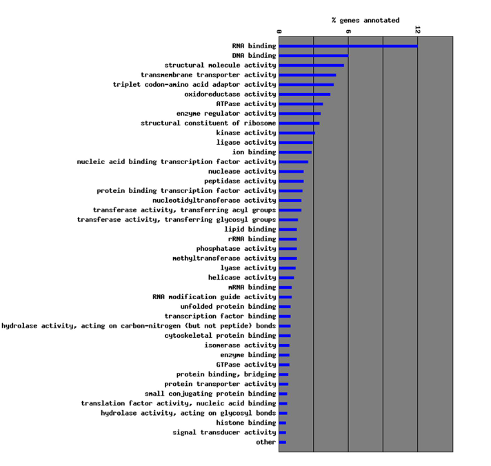 <p>Represents in which biological process(es) the gene product of interest is involved in.</p>